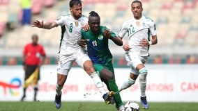 维斯塔潘起步良好暂时领跑，皮亚斯特里过掉诺里斯上至第2